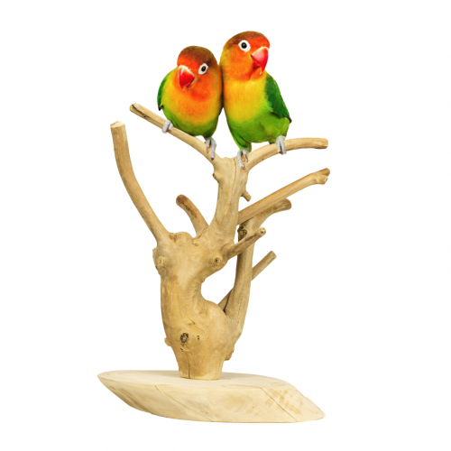 Java Playstand premium Mini Java Playstand premium Mini