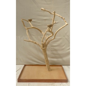 Java TREE Premium + Plateau XL