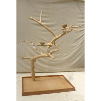 Java TREE Premium + Plateau XL