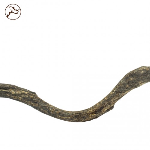 Curly Vine 60 x 2-5 cm