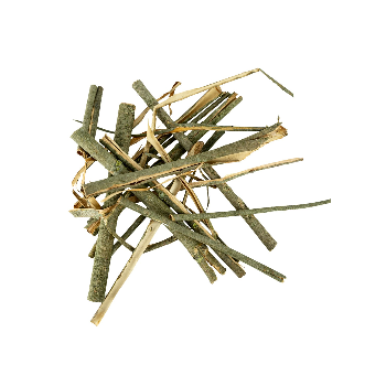 Willow Bark detail