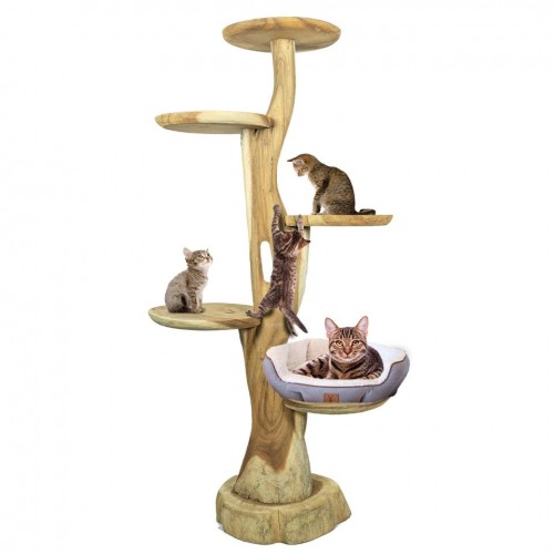 Back Zoo Nature Cat Tree Circle Medium