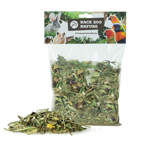 Garden Discovery Mix 100 Gram