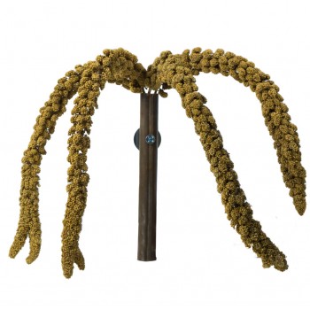 French Millet Sprays Yellow 150 gram in Grass Keeper French Millet Sprays Yellow 150 gram in Grass Keeper