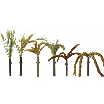 All grains All grains