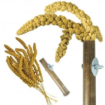 Grass Keeper