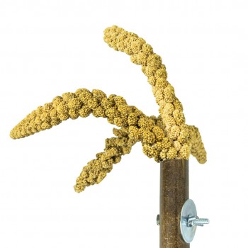 Grass Keeper