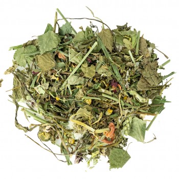 Garden Discovery Mix 100 Gram Garden Discovery Mix 100 Gram