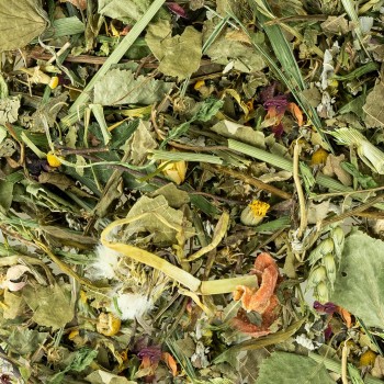 Garden Discovery Mix 100 Gram Garden Discovery Mix 100 Gram
