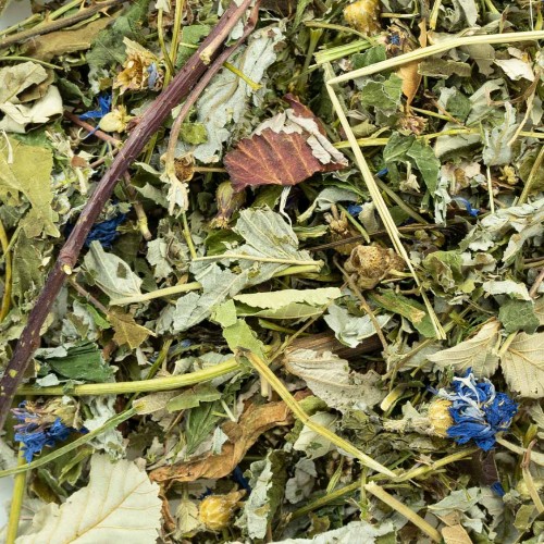 Herb Garden Mix 120 gram