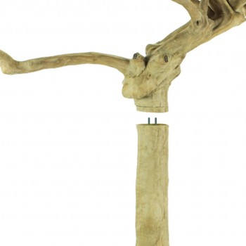 Java TREE Premium + Plateau L