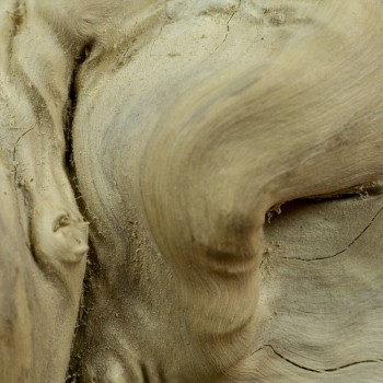 Java TREE Premium + Plateau XXL