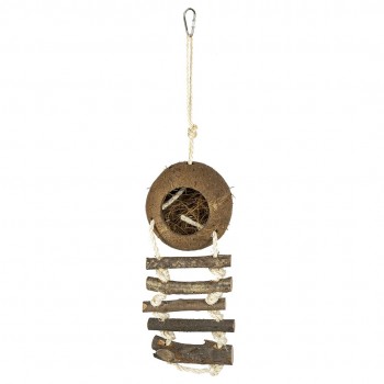 Coconut with Ladder
