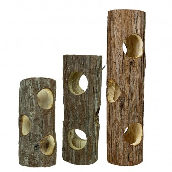 Bark Tunnels Bark Tunnels
