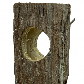 Bark Tunnel Medium