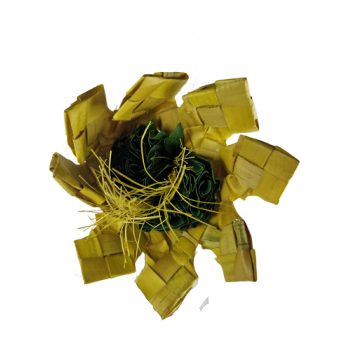 Sunflower Sunflower