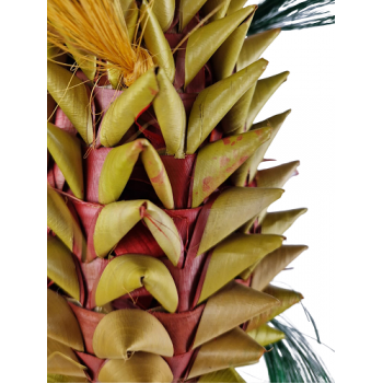 Pineapple Large Pineapple Large