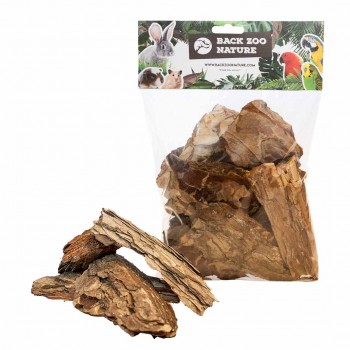 Pine Tree Bark Pine Tree Bark