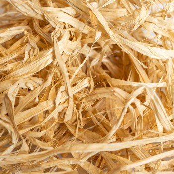 Raffia Palm Leaves
