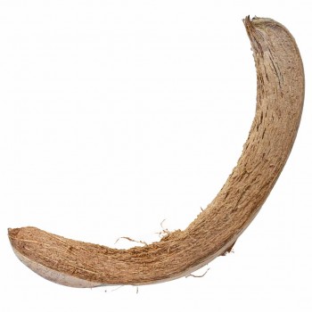 Coconut Husk Slices