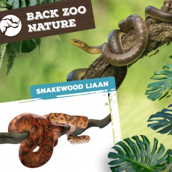 Snakewood Liana Snakewood Liana