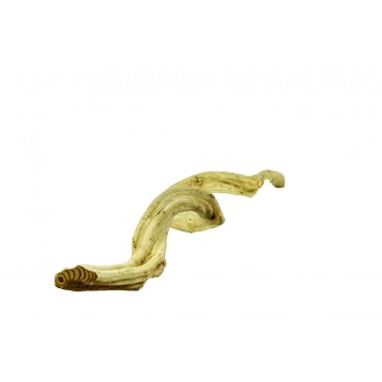 Liana Thai Taowan Medium 100 cm Liana Thai Taowan Medium 100 cm