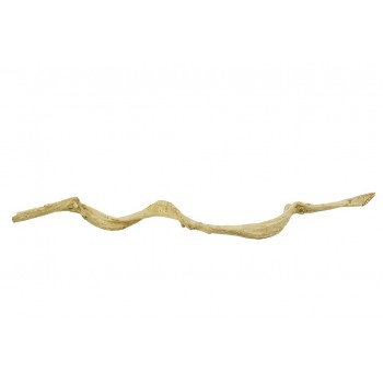 Liana Thai Taowan Medium 100 cm Liana Thai Taowan Medium 100 cm
