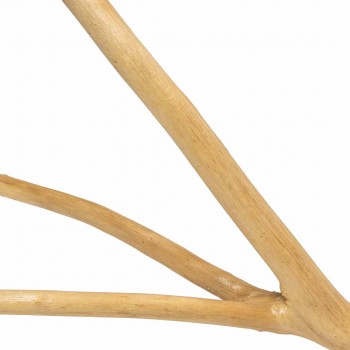 Multi Branch Large Multi Branch Large