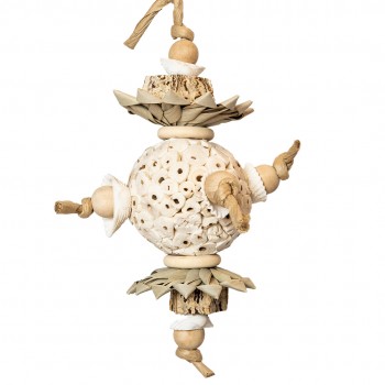 Ball & Shells Ball & Shells