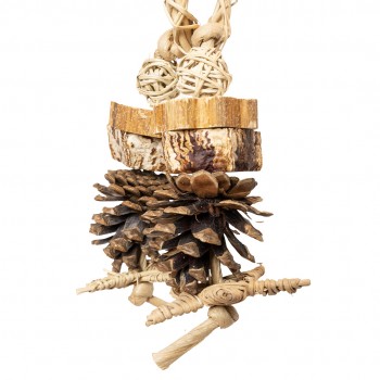Forest Ring Forest Ring
