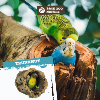 Trunkhut Small