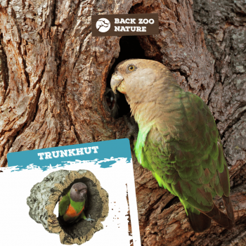 Trunkhut Medium