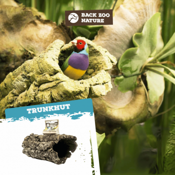 Trunkhut Mini
