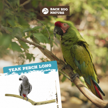 Teak Perch Long