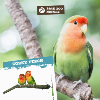 Corky Perch Small