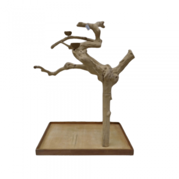 Java TREE Premium + PLateau...