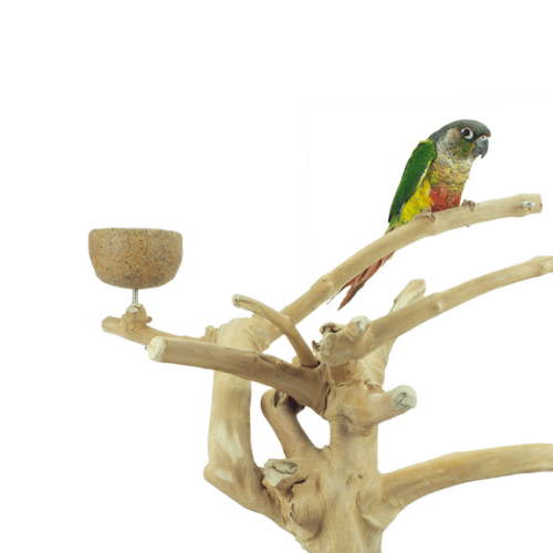 Java Playstand & Tree Food/Water Bowl L