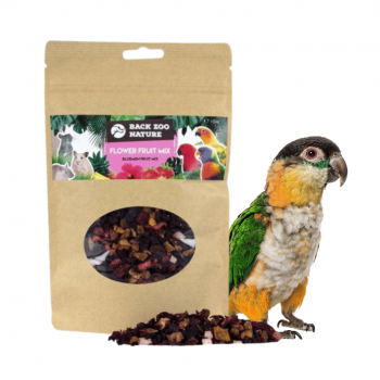 Flower Fruit Mix 100g