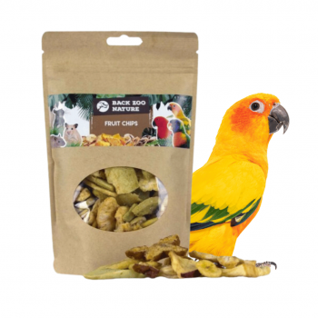 Fruit Chips 100g