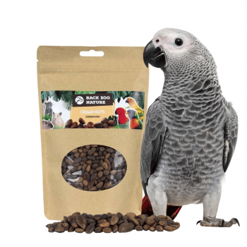 Cedar Nuts 200g