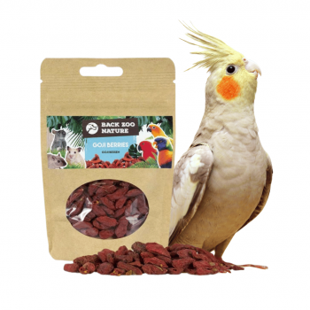 Goji Berries 40g