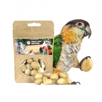 Macadamia Nuts 50g