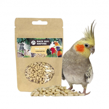 Pine Nuts 50g