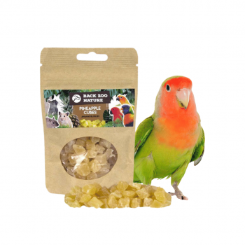 Pineapple Cubes 50g