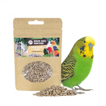 Sunflower Seeds 40g