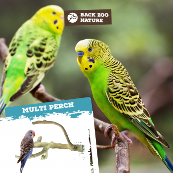 Multi Perch Premium X-Small