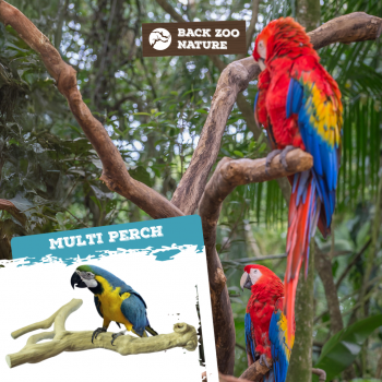 Multi Perch Premium X-Large