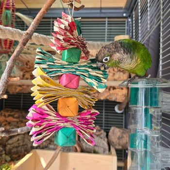 Palmleaf Tower