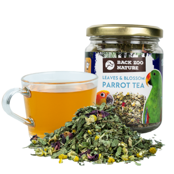 Back Zoo Nature Parrot Tea...