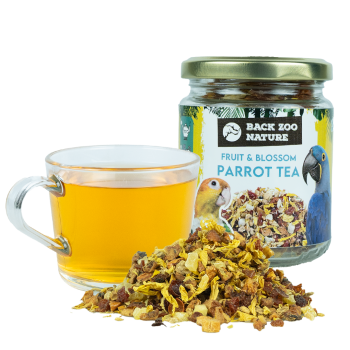 Back Zoo Nature Parrot Tea...